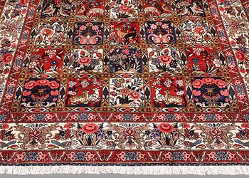 Matta, Bakhtiari, 305 x 207 cm.