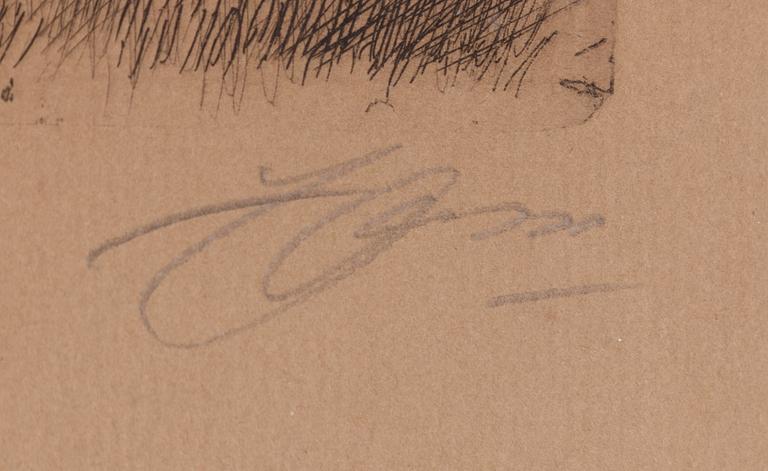 Anders Zorn, "Självporträtt i vargskinnspäls".