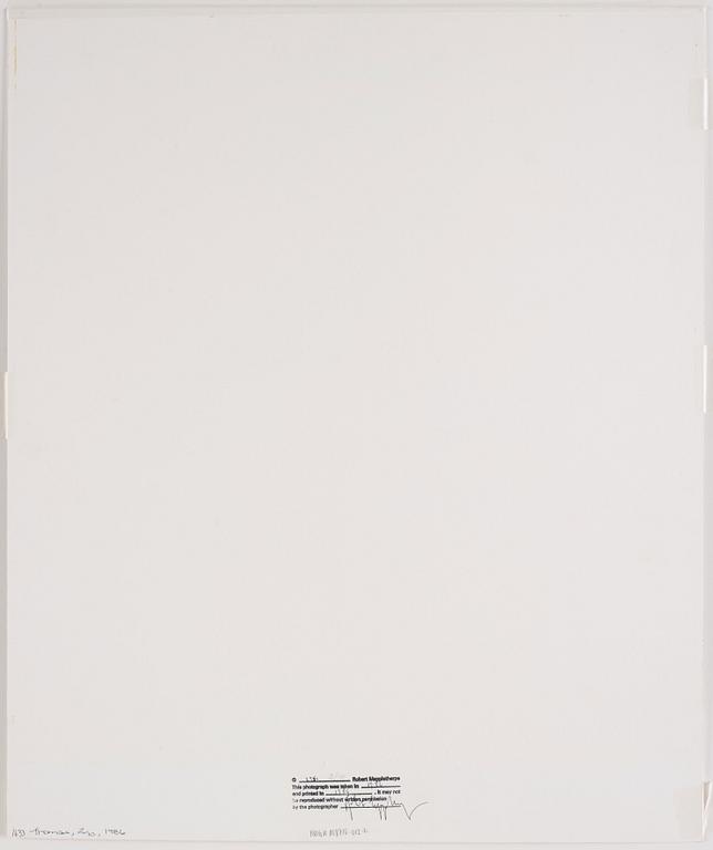 Robert Mapplethorpe, ”Thomas, 1986”.