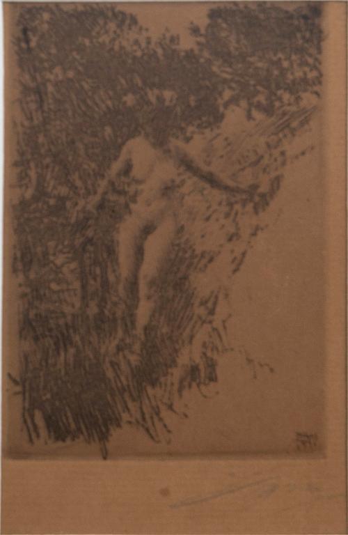 Anders Zorn, Buskage.