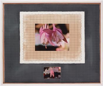 Michelle Stuart, "Correspondences: Time Connecticut Fuchsia".