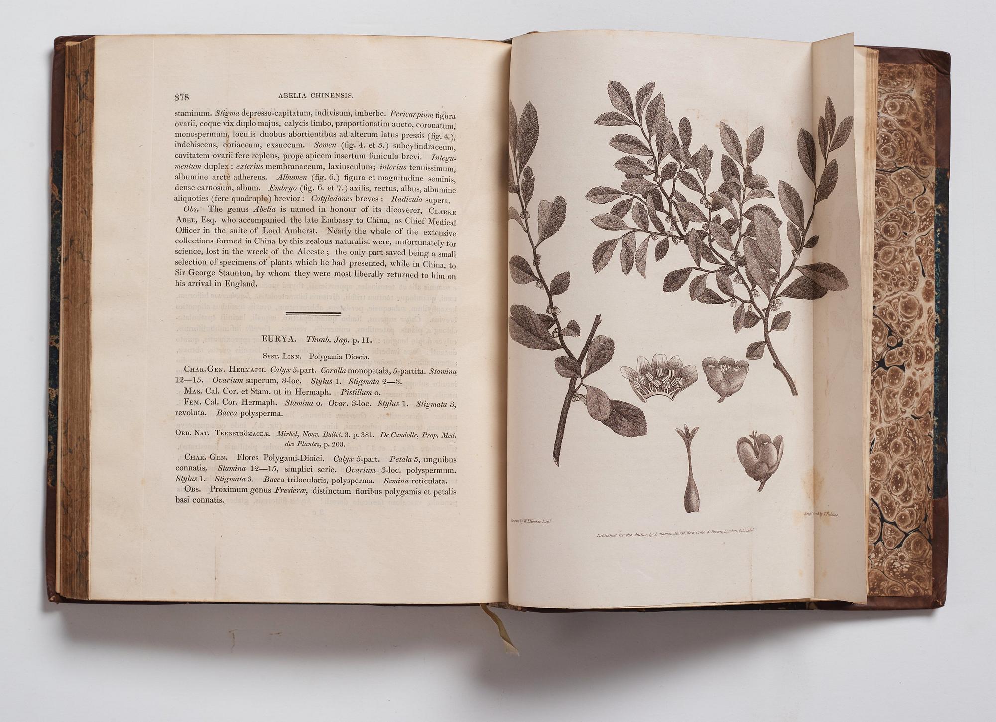 En samlares bibliotek, del 4. En grupp böcker om Kina, 10 volymer.