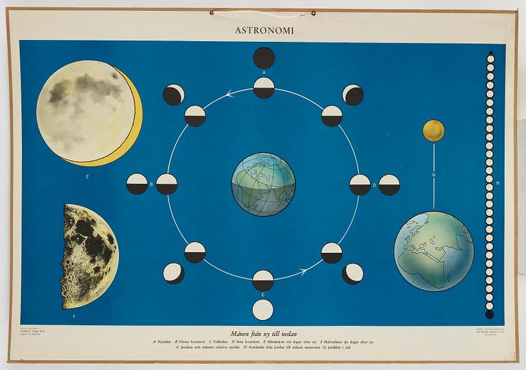 SKOLPLANSCHER, 6 st, Astronomi.