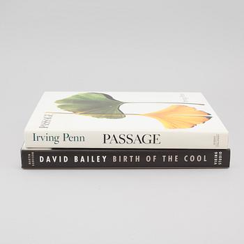 Two photo books, "David Bailey- Birth of the cool 1957-1969" and "Irving Penn- Passage- a work record".