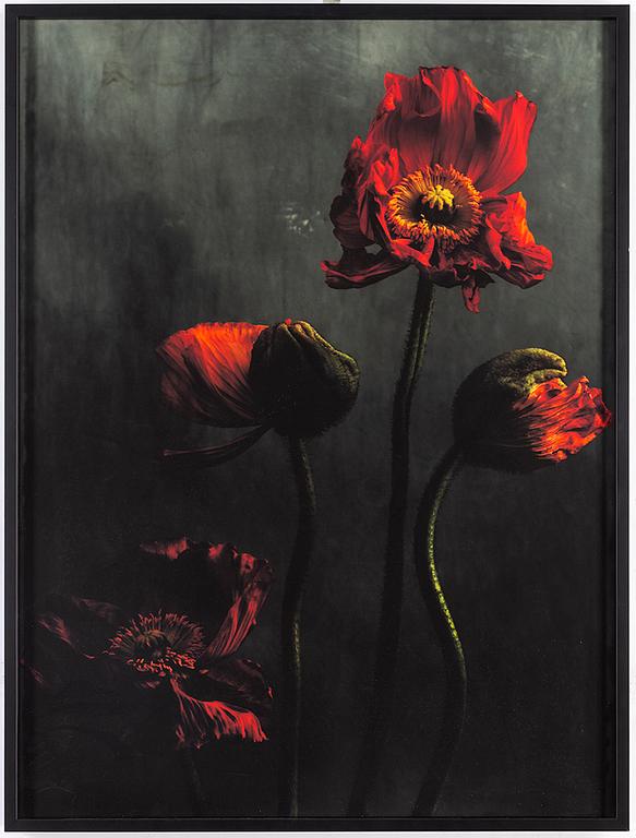 EWA-MARIE RUNDQUIST, archival pigment print. Signed and numbered 1/15 on label verso.