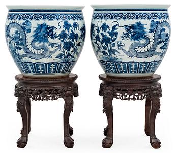 A pair of large blue and white fish basins/flower pots, late Qing dynasty, circa 1900.