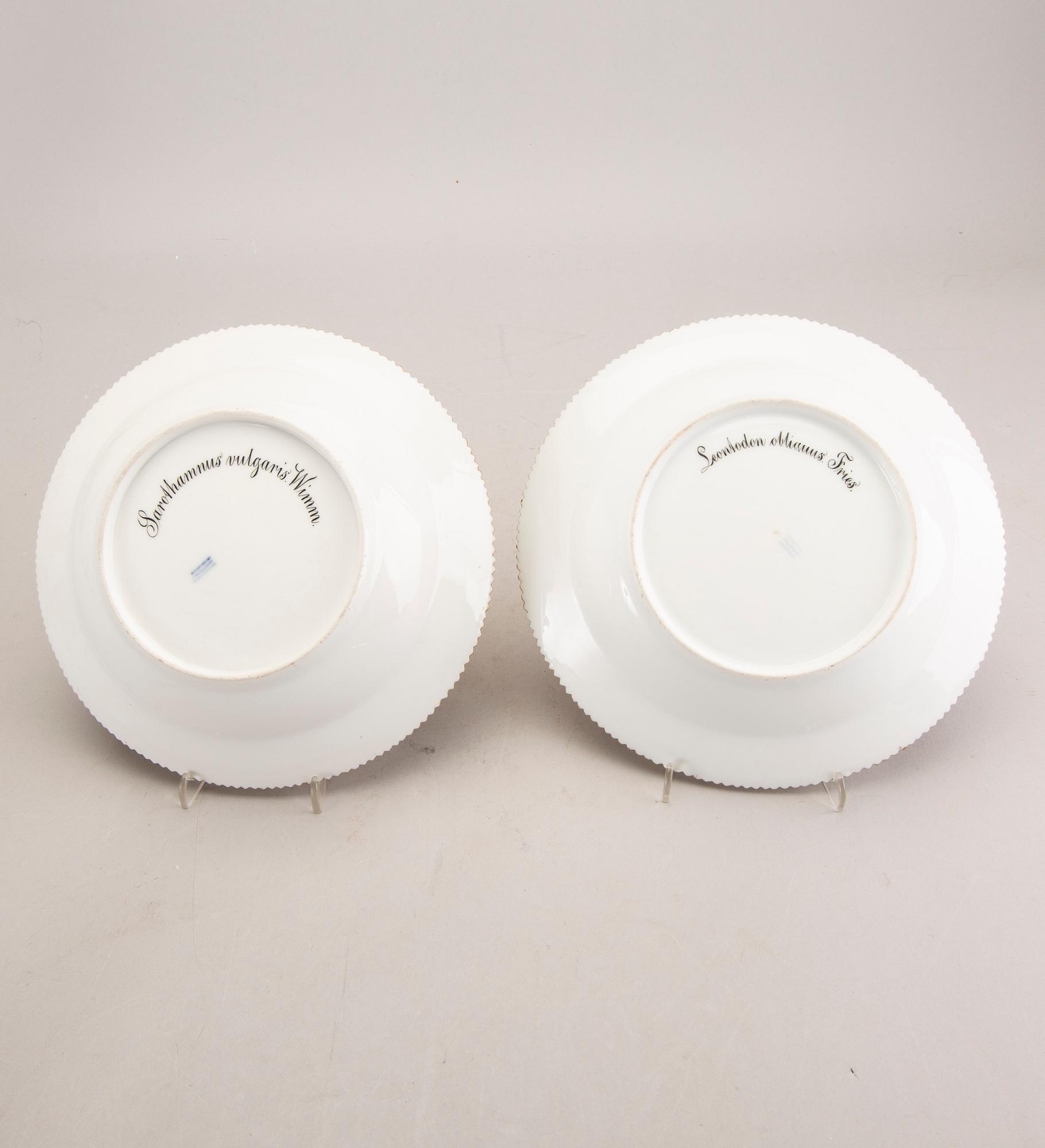 Tallrikar, 2 st, "Flora Danica", Royal Copenhagen Danmark sent 1800-tal.