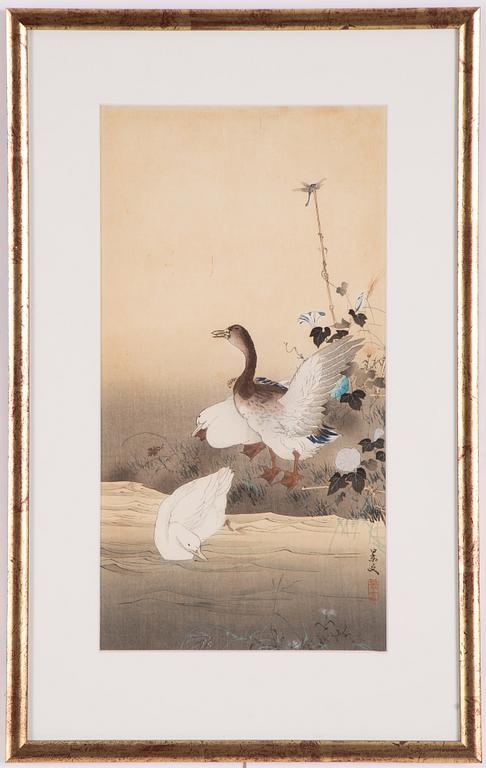 Matsumura Keibun, after, Ducks and dragonfly by the riverbank, first part of the 20th century.