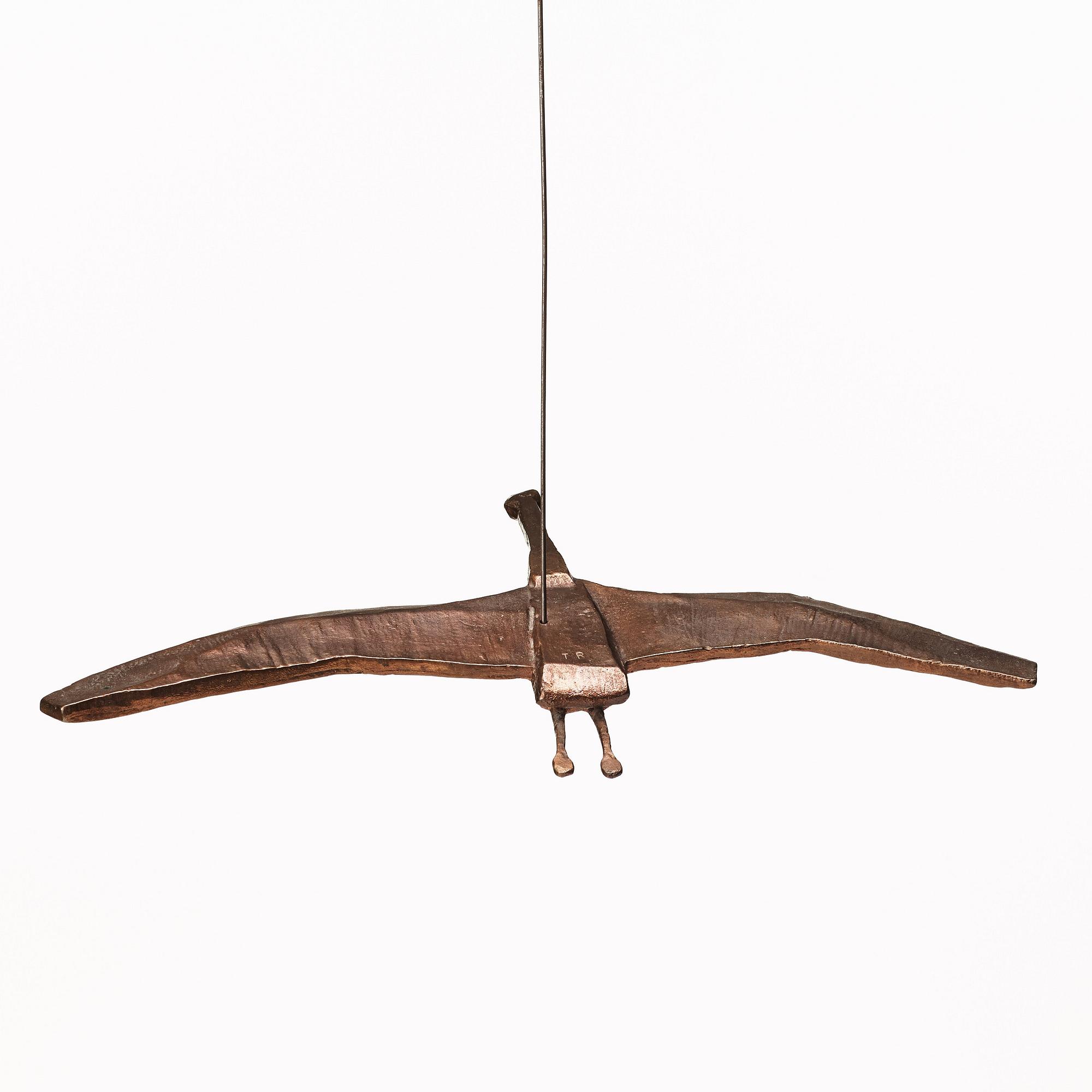 Torsten Renqvist, Flygande fågel.