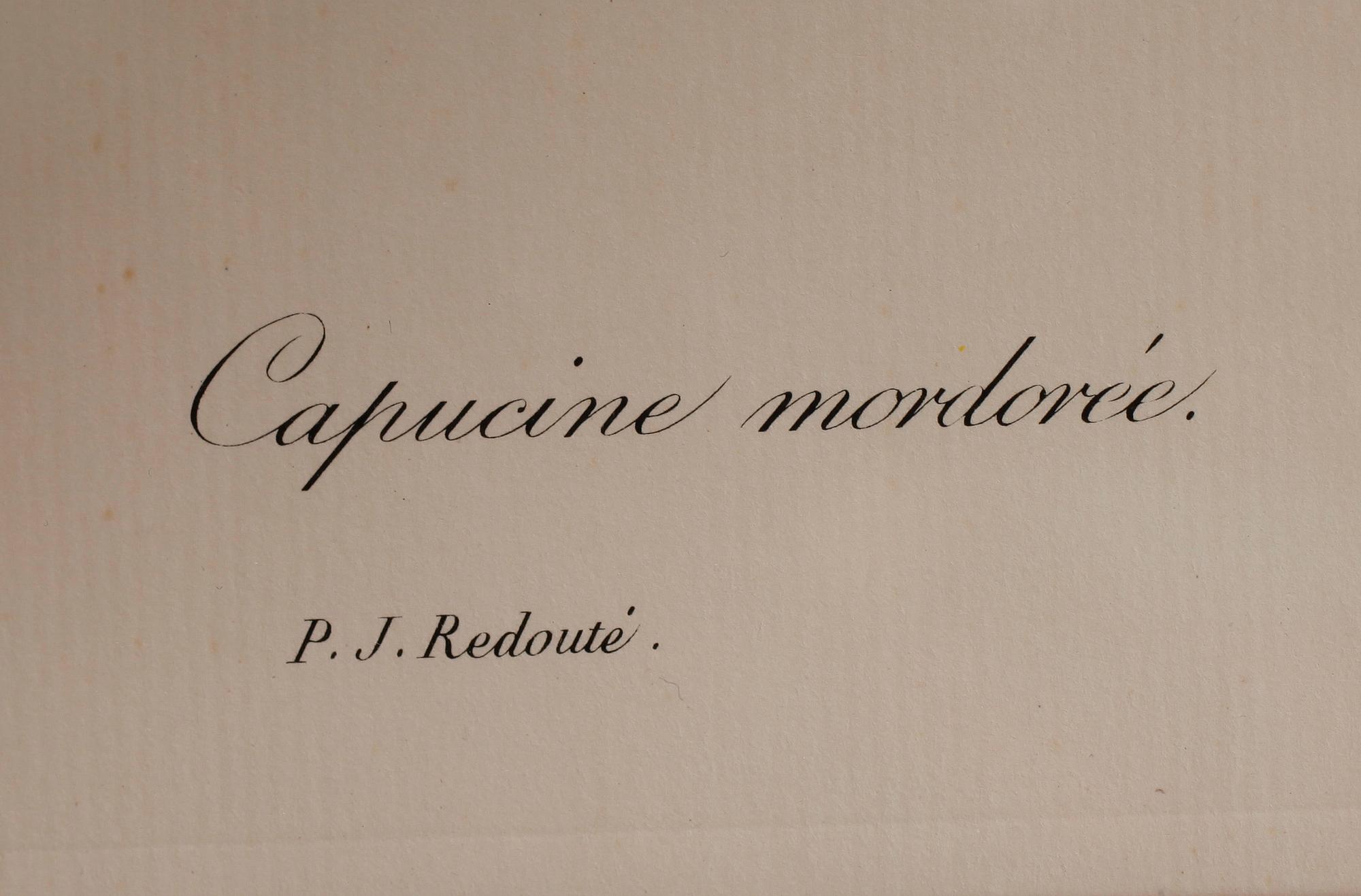 TAVLOR, 5 st, efter Redouté, tryck, 1900-talets andra hälft.