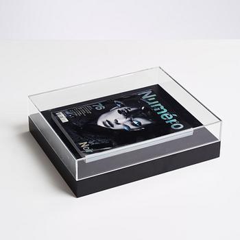 Anna Nordquist Andersson, "I see through you".