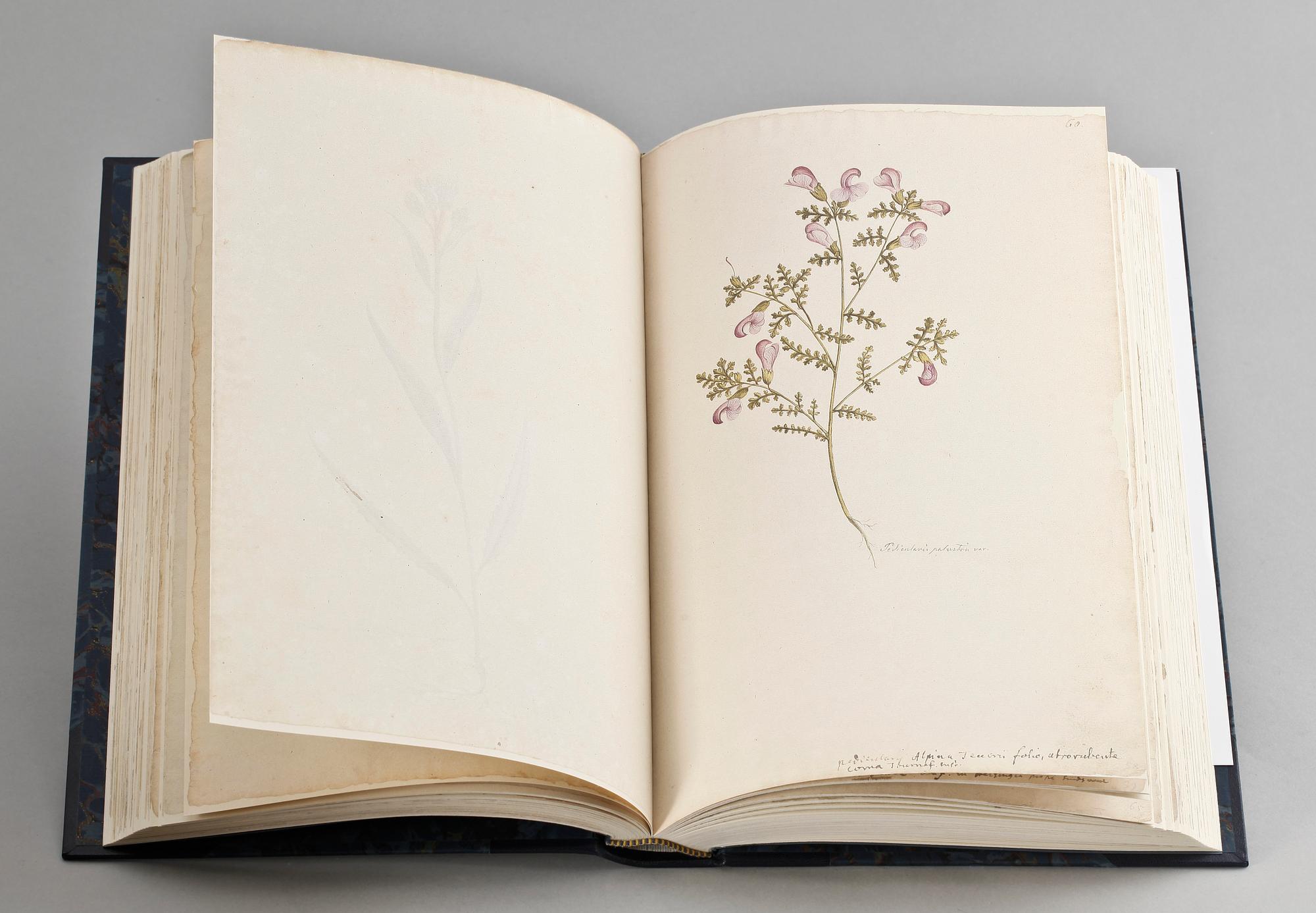 BOK, 2 band.  Olof Rudbeck dy. Iter Lapponicum René Coeckelberghs Bokförlag AB, Stockholm 1999.