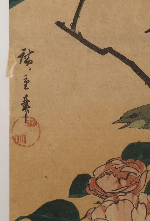 "Tsubaki ni uguisu" (Camellia and Bushe Wabler), after.