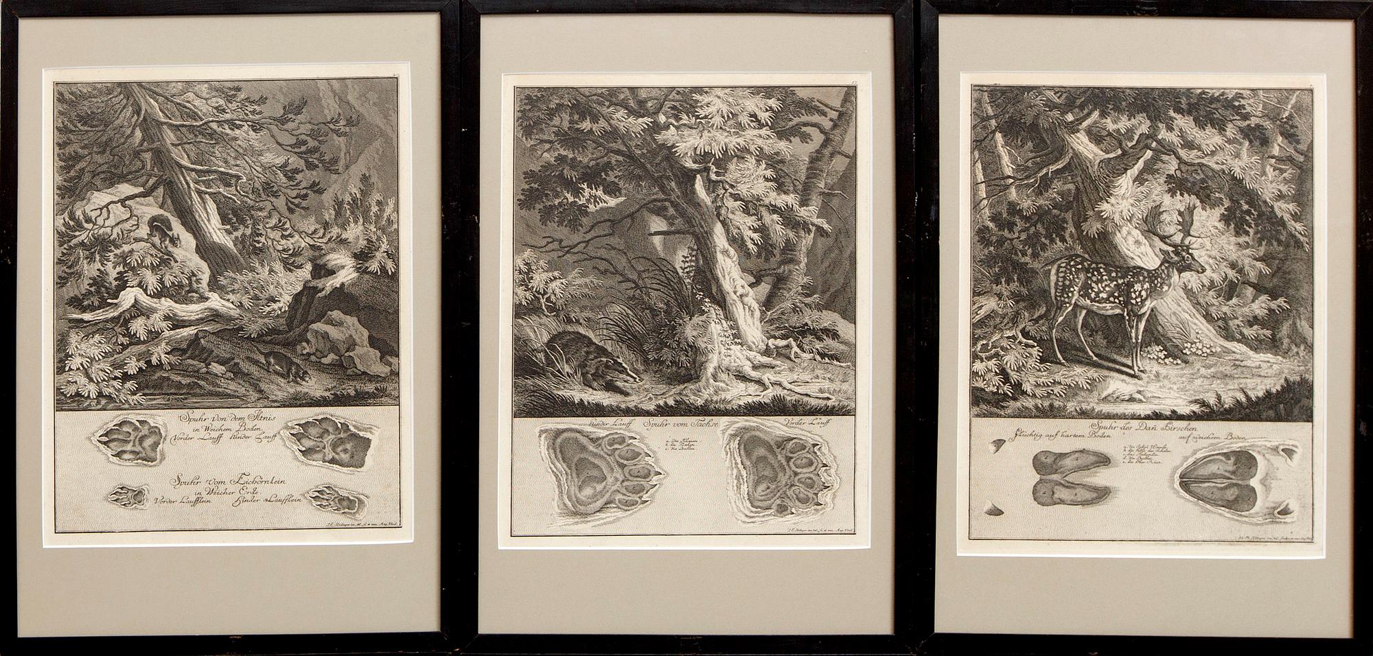 Johann Elias Ridinger, six copper engravings, Germany 18th Century.