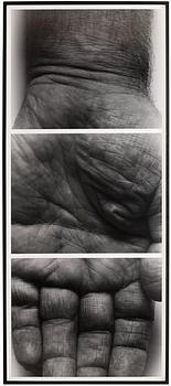 John Coplans, "Selfportrait, Hand, three panels vertical, 1990".