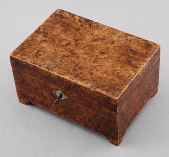 SKRIN, masurbjörk, 1800-talets andra hälft.