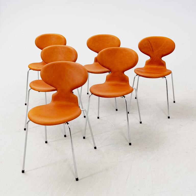 Arne Jacobsen, stolar, 6 st, "Myran" för Fritz Hansen Danmark sent 1900-tal.