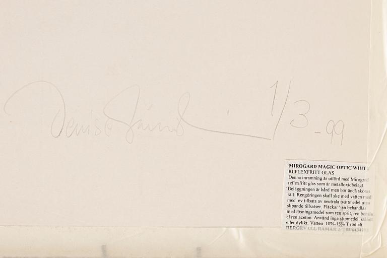 Denise Grünstein, "Blyertskameler", 1999.