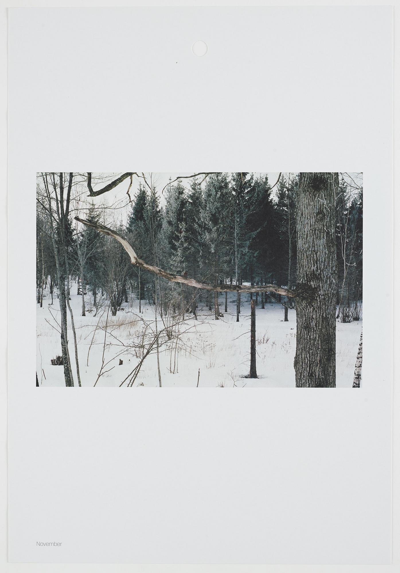 ANDREAS ERIKSSON, portfolio. Signed AE inside the box and numbered 18/250.