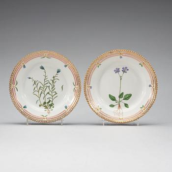ASSIETTER, 13 stycken, porslin. "Flora Danica", Kunglig Dansk, Danmark, 1900-tal.