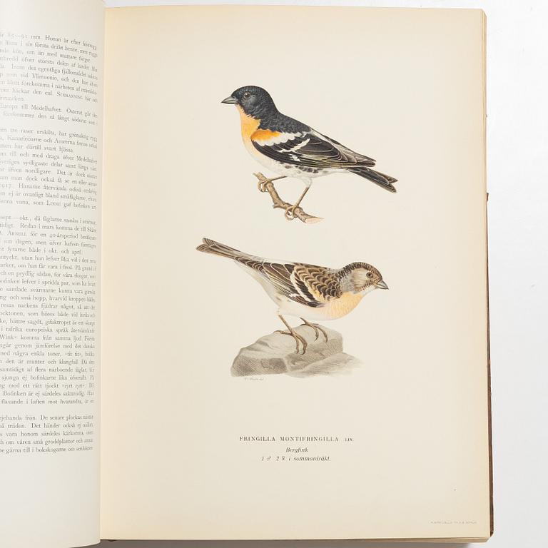 Bröderna von Wright, bokverk, 3 band, "Svenska fåglar", A. Börtzells tryckeri AB, Stockholm, 1927-1929.