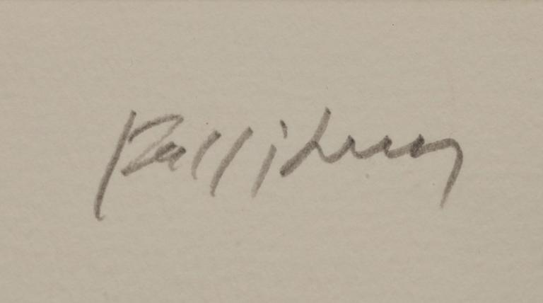 ALEXANDRE FASSIANOS, färglitografi, sign o numr 49/95.
