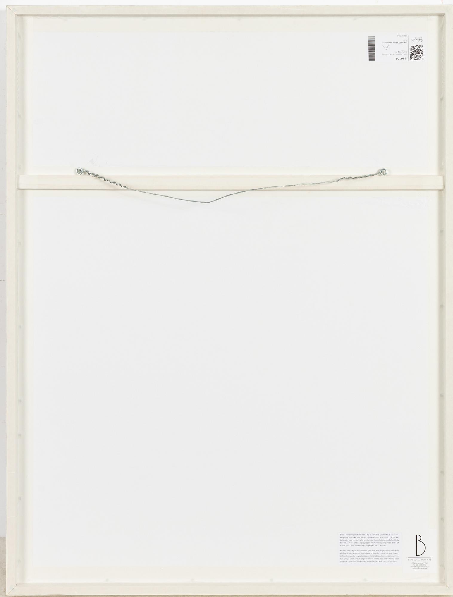 Erik Lindman, "How to Cook Everything 2".