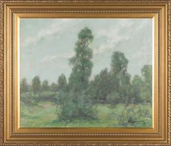 Rudolf Koivu, Maisema.