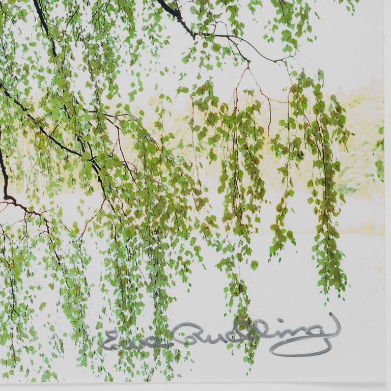 Ewa Rudling, "Ted Gärestad "Björkmusik" i Hälsingland".