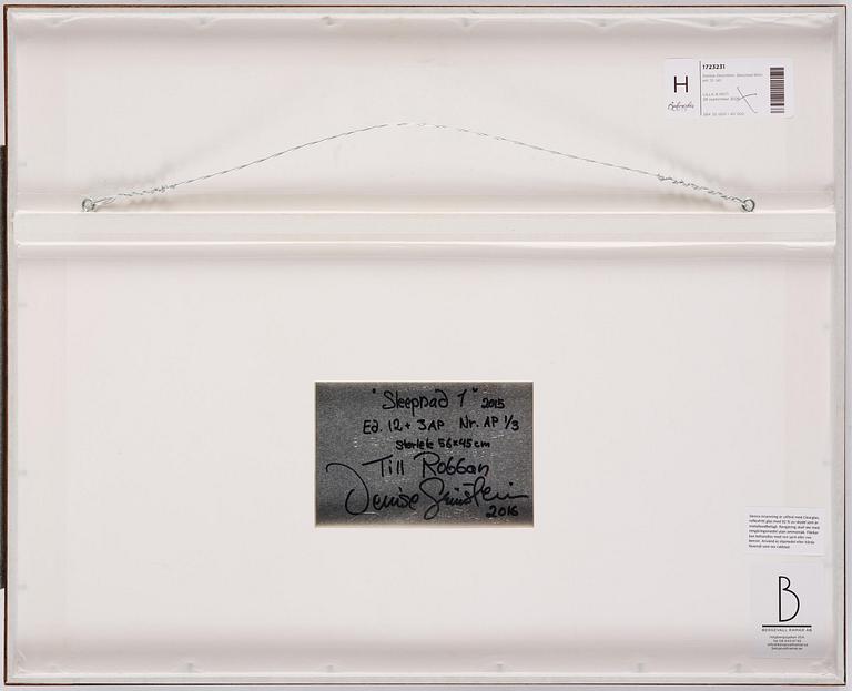 Denise Grünstein, "Skepnad", 2015.