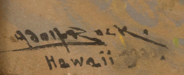 Adolf Bock, NÄKYMÄ HAVAJILTA.