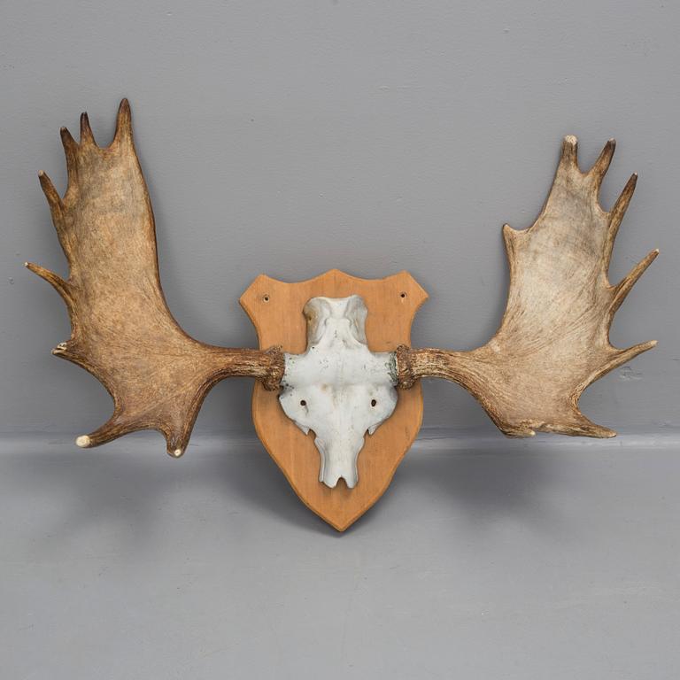 FÄLLHORN, 1900-tal.