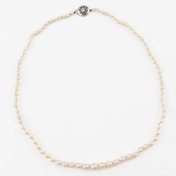 Pärlcollier, doserade odlade pärlor, lås, Alton, 18K vitguld med vit fasettslipad sten.