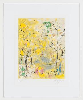 Canal Cheong-Jagerroos, Sommitelma.