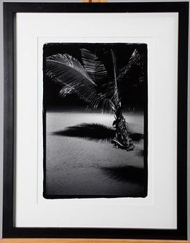 JARI ARFFMAN, selen tonad gelatin silver print, a tergo signerad och daterad 2004, numrerad 8/4.