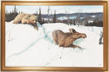 Lennart Sand, 'Björn och fjolårskalv (Bear and last year's calf)'.
