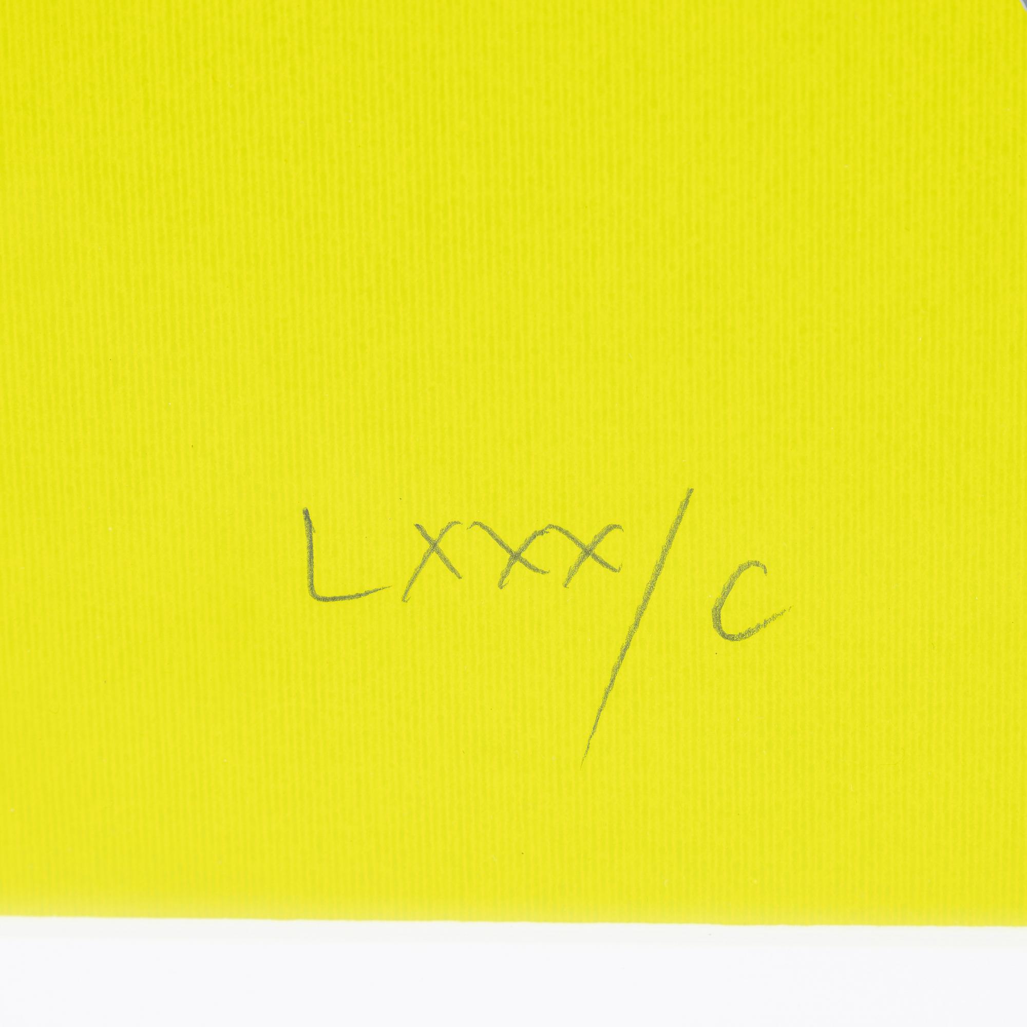 Franco Costa, silkscreen in colours, signed LXXX/C.