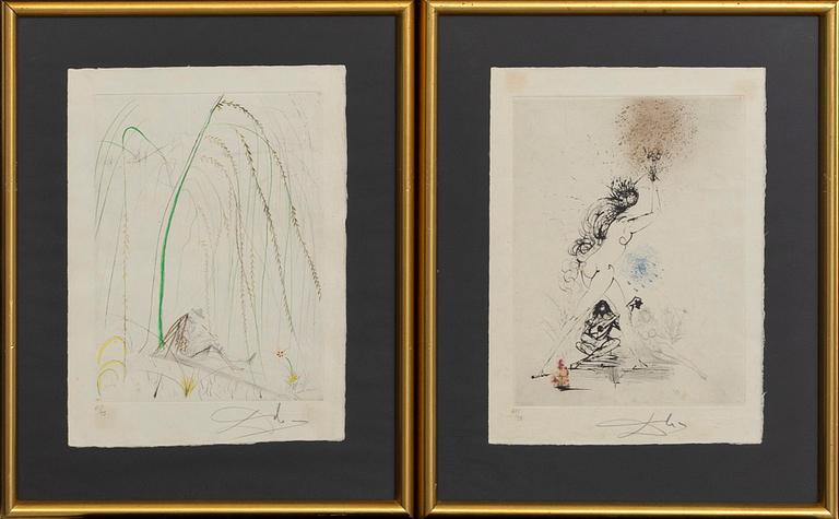 SALVADOR DALÍ, 10 etchings some drypoint handloloured on Japanese paper signed and numbered 61/95.