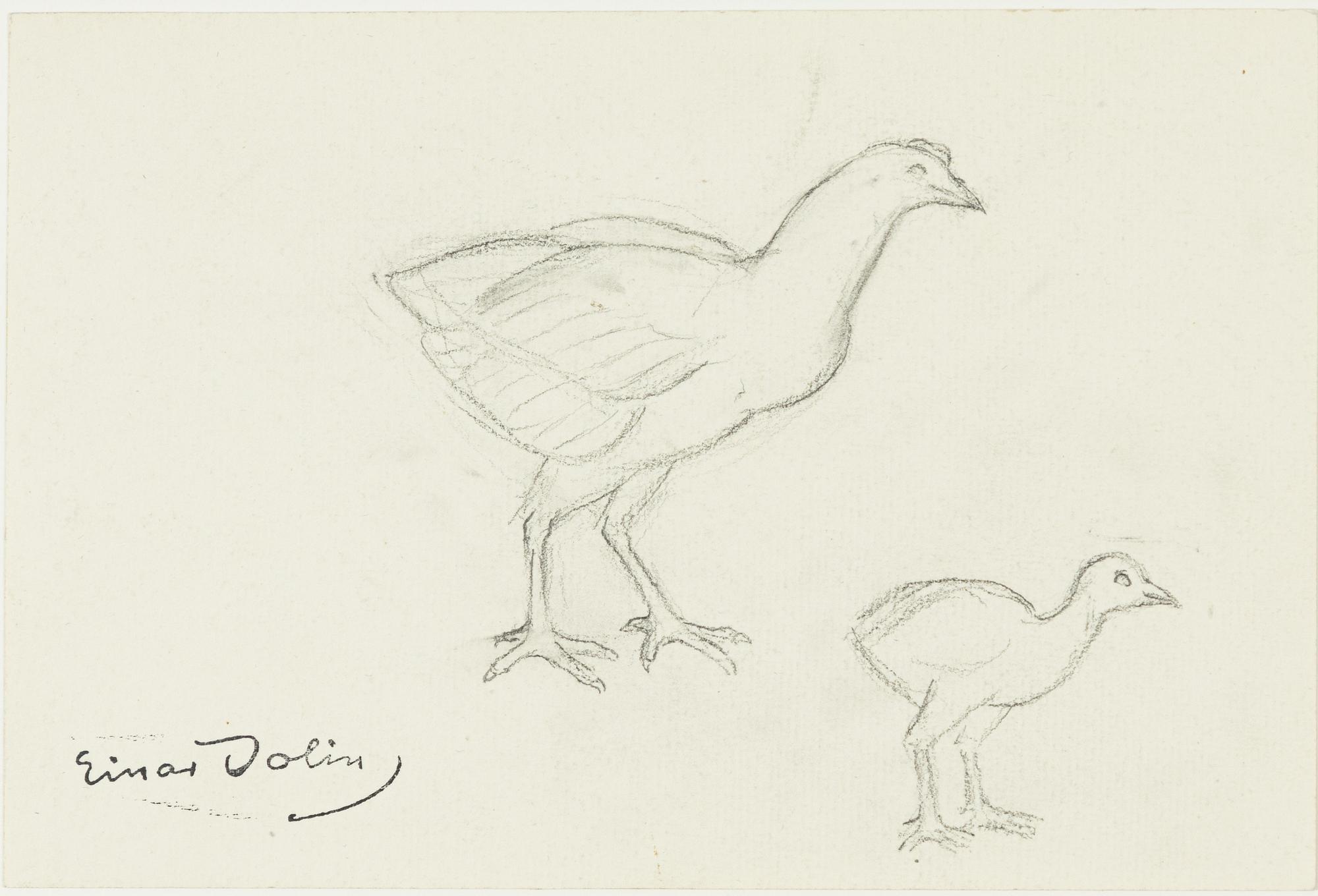 Einar Jolin, Birds.
