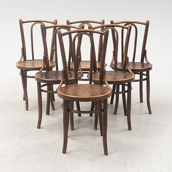 A set of 6 Café chairs, Mundus, Poland, early 20th Century.