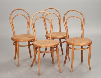 STOLAR, 4 st, Thonet, 1900-tal.