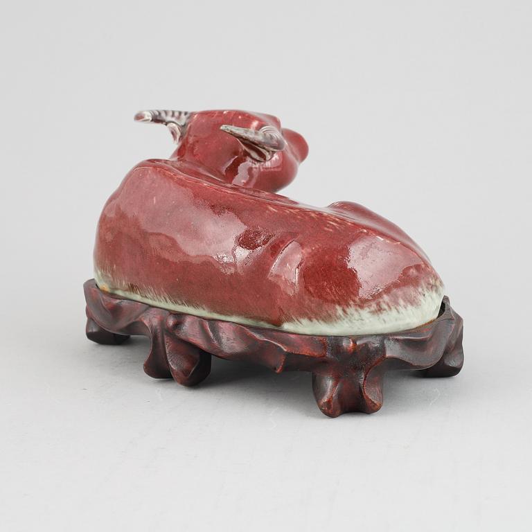 A sang-de-boeuf glazed Chinese porcelain figure of a water buffalo, around the year 1900.