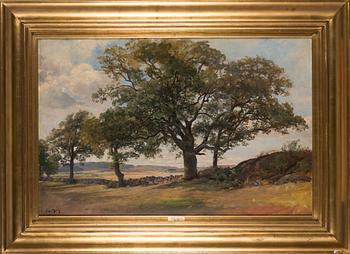 Berndt Lindholm, The big oak.