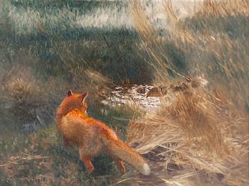 96. Bruno Liljefors, Fox stalking Mallards.