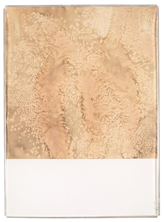 Susan Weil, "Tidal Schah".