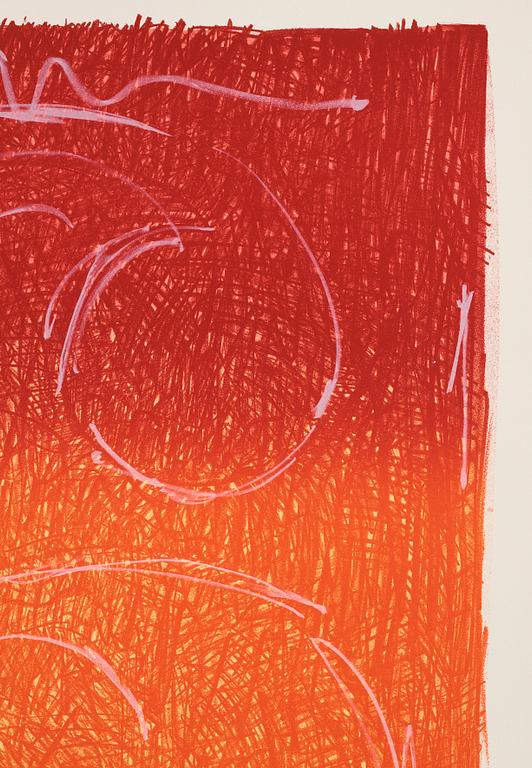 Jasper Johns, "Figure 6", from "Color Numeral Series".