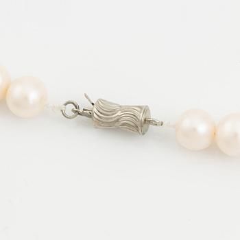 Pearl necklace cultured pearls, clasp in 18K white gold.