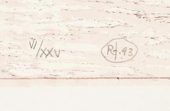 Roj Friberg, lithograph in colours, signed with monogram and numbered VI/XXV, and dated -93.