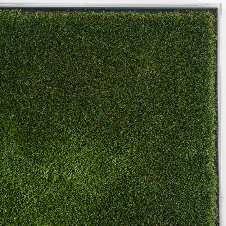 Yves Scherer, "Fructis Hardcore (1)".
