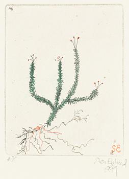 Sten Eklund, "Mossa", Ur "Kullahusets hemlighet".